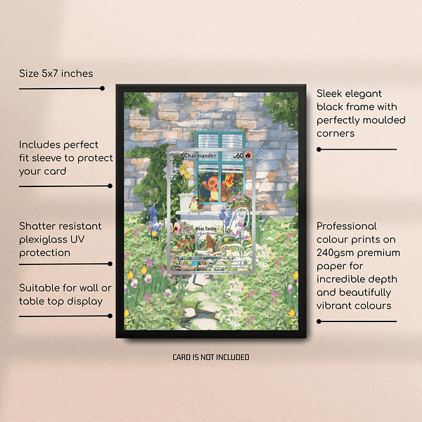 Charmander Promo SVP 044 Pokemon Frame