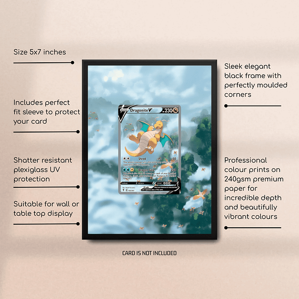 Draginite V 192/203 Frame