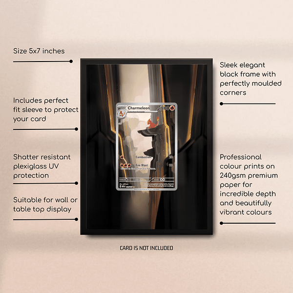 Charmeleon 169/165 Extended Art Frame