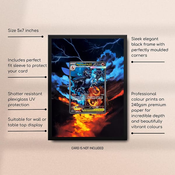 125/094 Mega Charizard X ex (110/080) Pokemon Extended Art Frame
